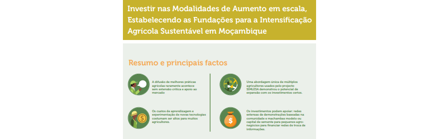 Investir nas Modalidades de Aumento em escala, Estabelecendo as  Fundações para a Intensificação Agricola  sustentável em Moçambique