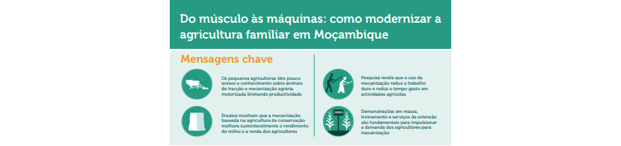 Do Músculo as máquinas: como modernizar a agricultura familiar em  Moçambique