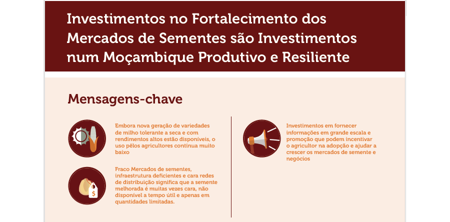 Investimentos no Fortalecimento dos Mercados de Sementes sao Investimentos num Moçambique Produtivo e Resiliente